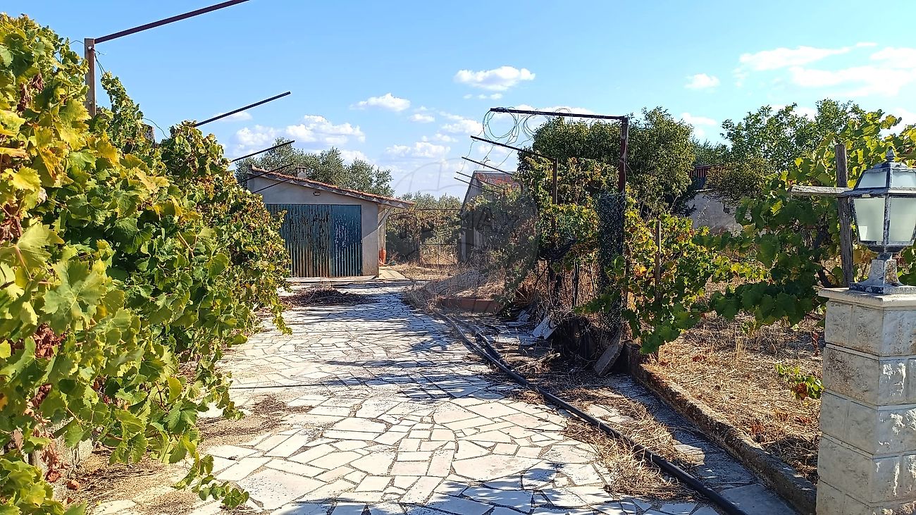 Moradia T2 à venda em Riachos, Torres Novas — foto 16