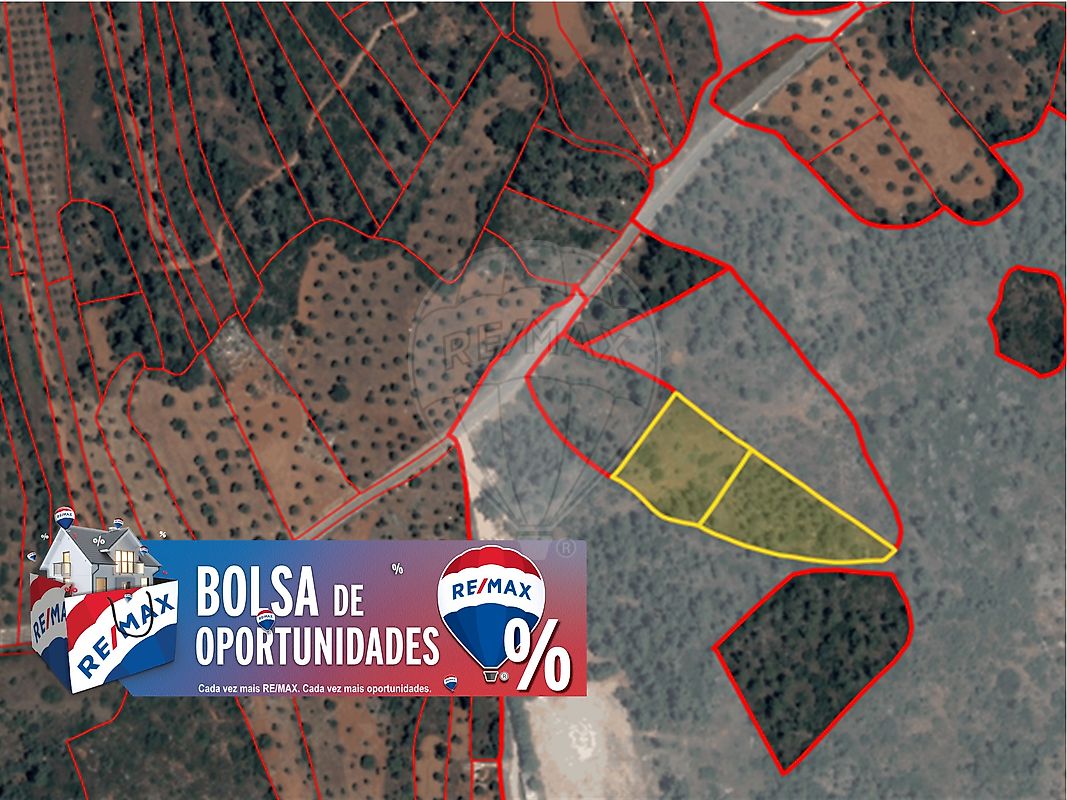 Terreno - Pedrógão, Torres Novas, Santarém