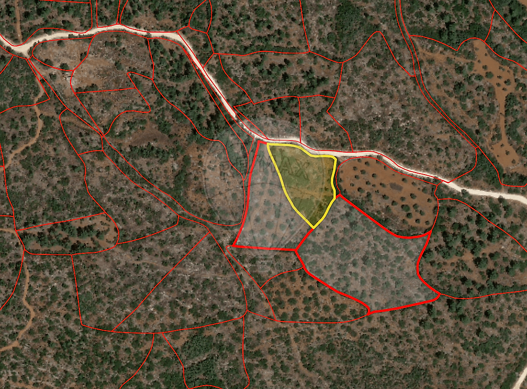 Terreno - Pedrógão, Torres Novas, Santarém