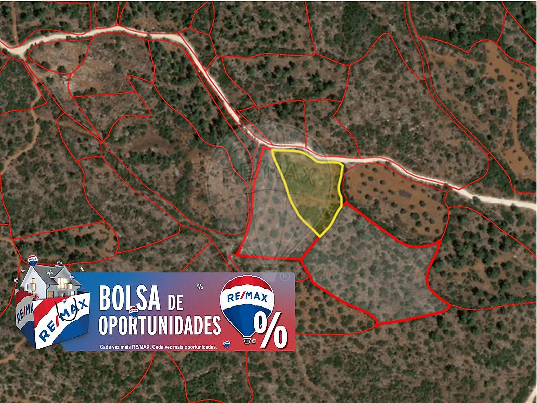 Terreno - Pedrógão, Torres Novas, Santarém