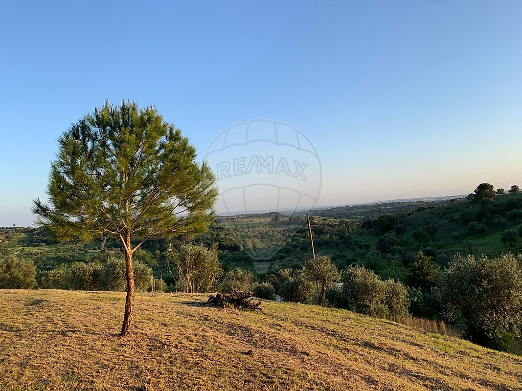 Moradia T1 à venda em Torres Novas (Santa Maria, Salvador e Santiago), Torres Novas — foto 10