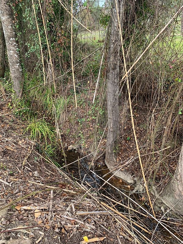 Moradia T1 à venda em Torres Novas (Santa Maria, Salvador e Santiago), Torres Novas — foto 3