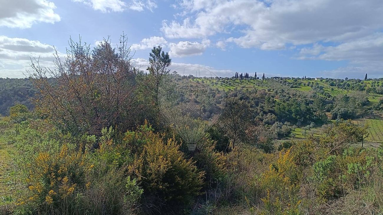 Terreno à venda em Torres Novas