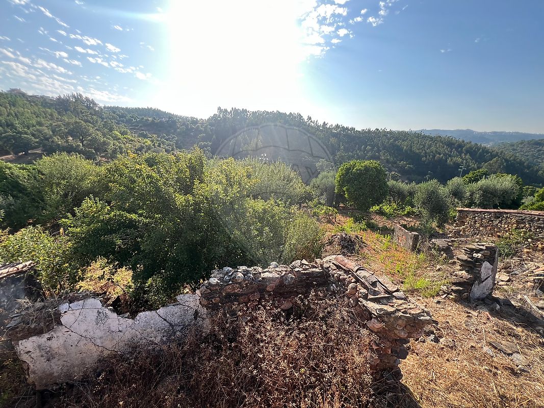 Moradia T2 à venda em Aldeia do Mato e Souto, Abrantes — foto 7