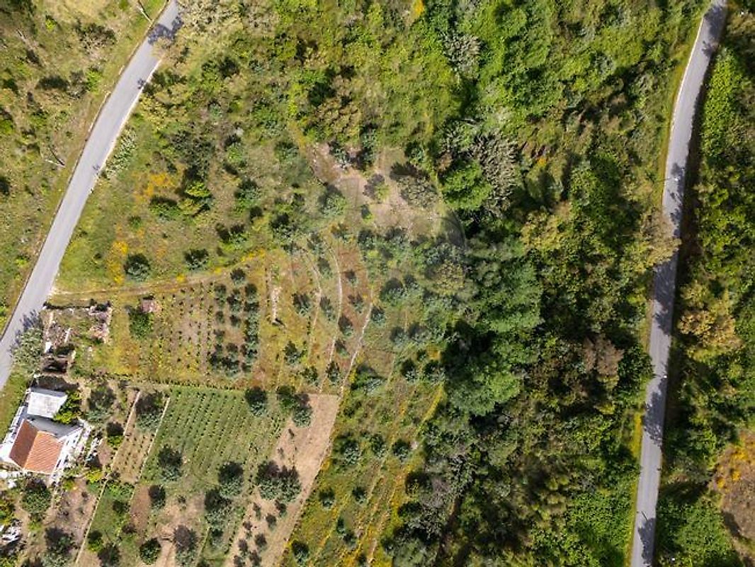 Moradia T2 à venda em Aldeia do Mato e Souto, Abrantes — foto 6