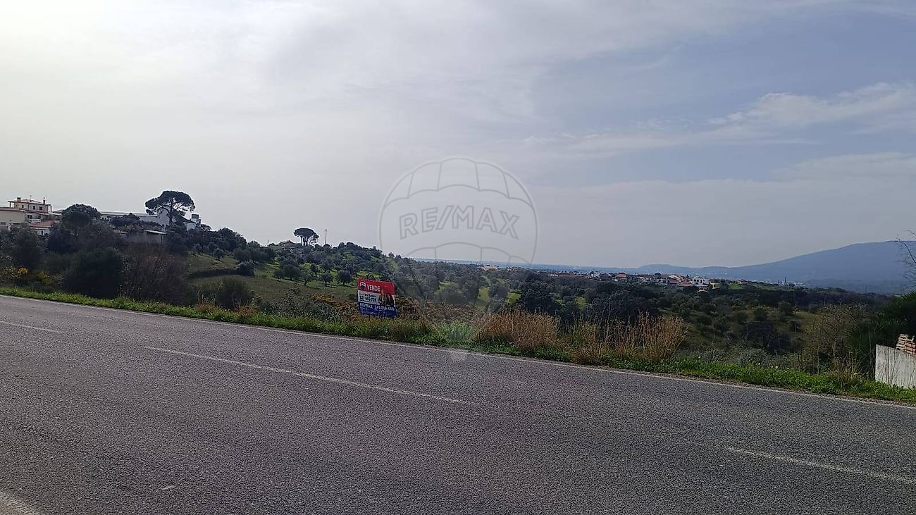 Terreno - Assentiz, Torres Novas, Santarém