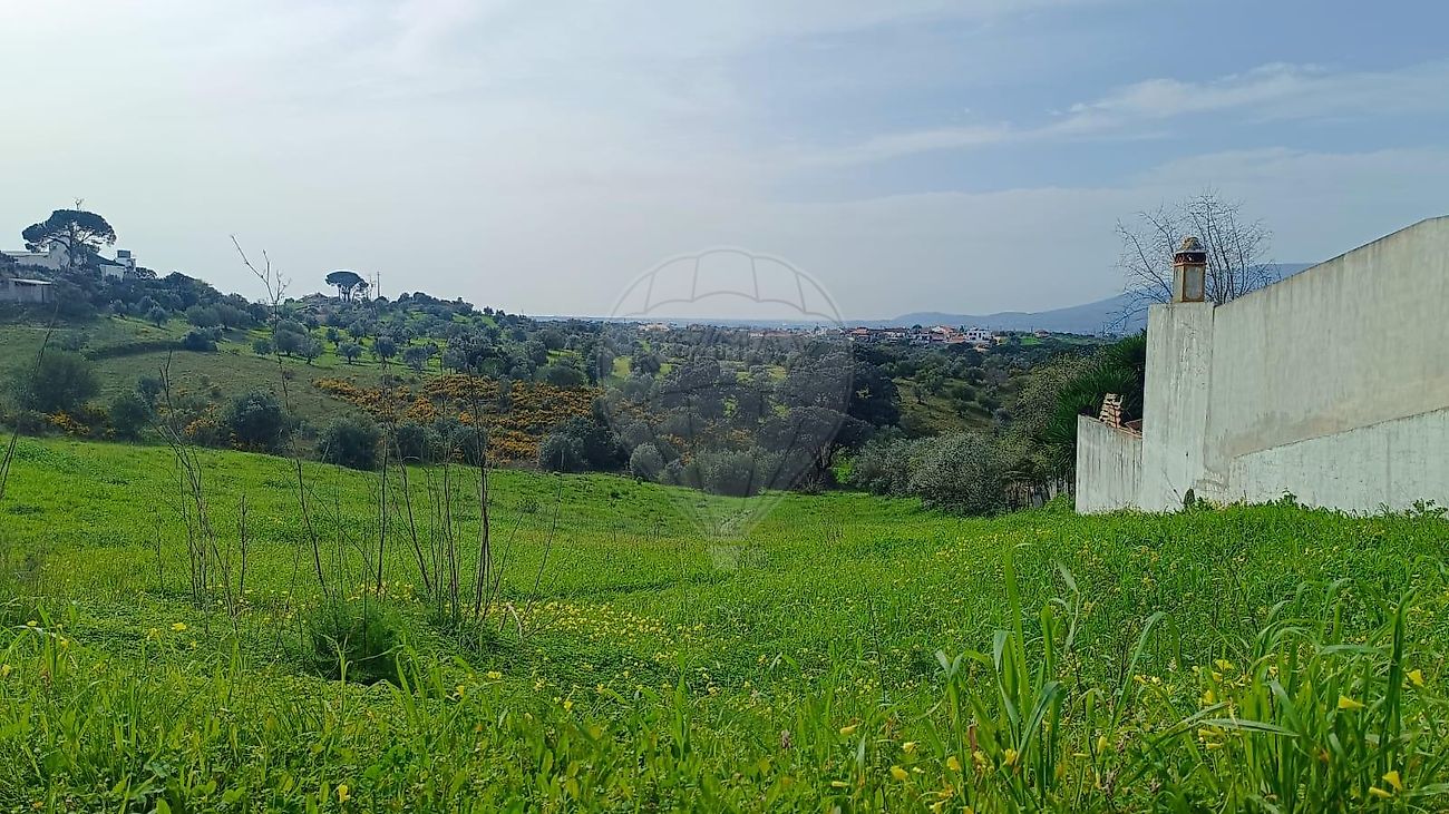 Terreno à venda em Torres Novas