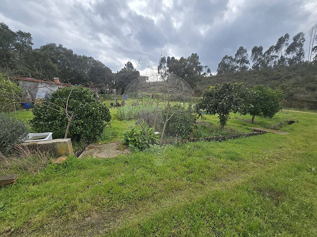 Terreno - São Pedro de Tomar, Tomar, Santarém