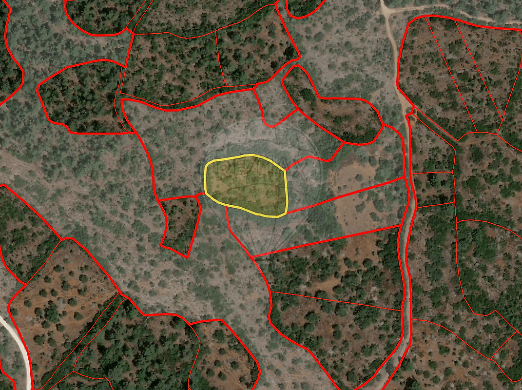 Terreno - Pedrógão, Torres Novas, Santarém