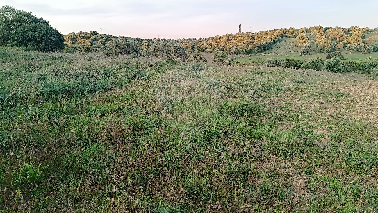 Terreno - Zibreira, Torres Novas, Santarém