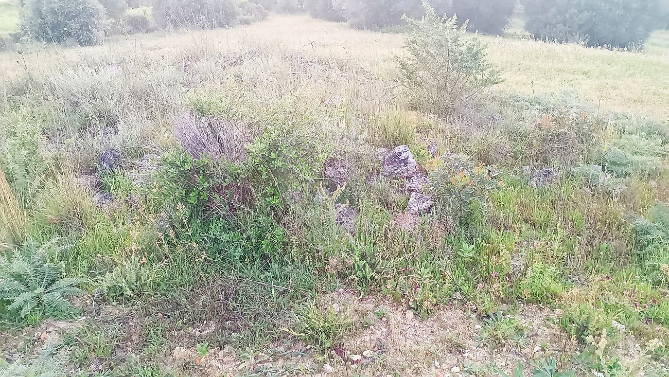 Terreno à venda em Torres Novas