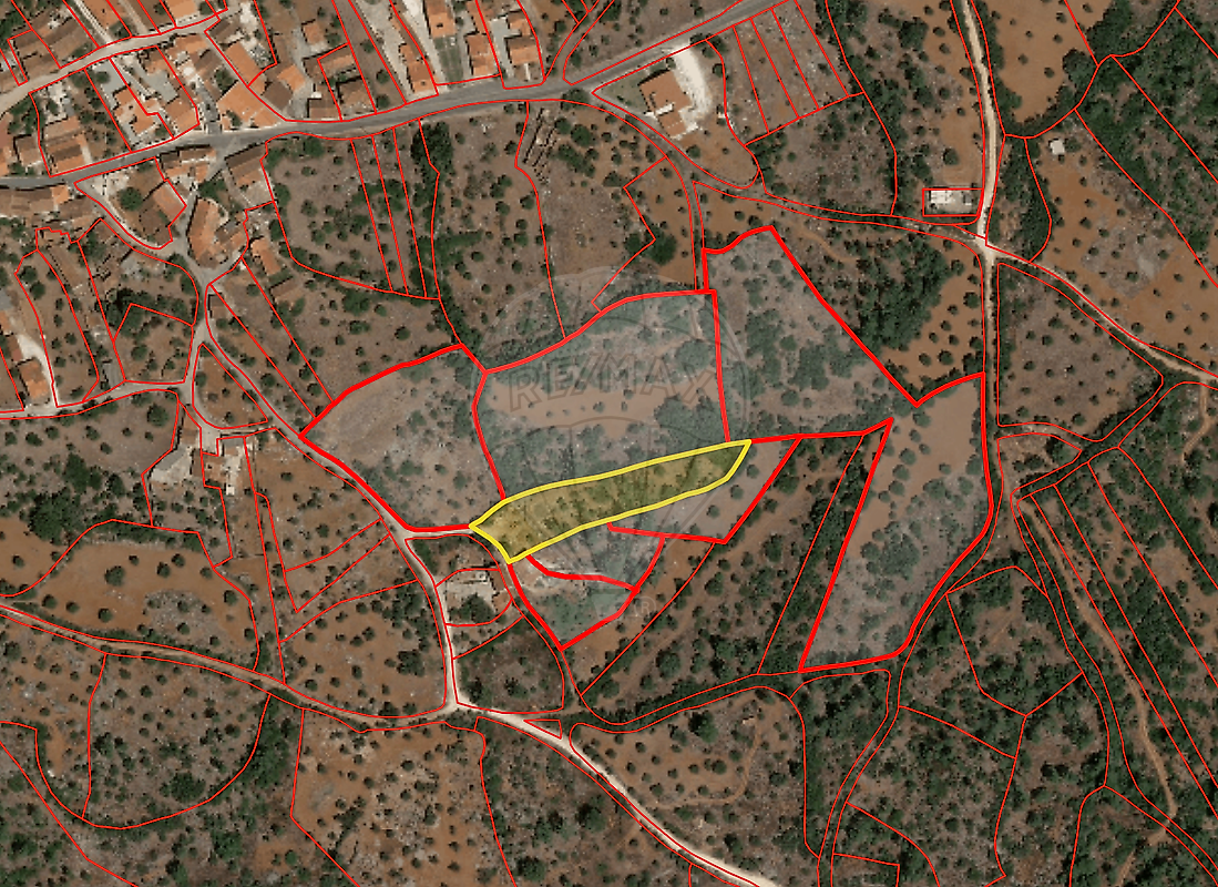 Terreno - Pedrógão, Torres Novas, Santarém