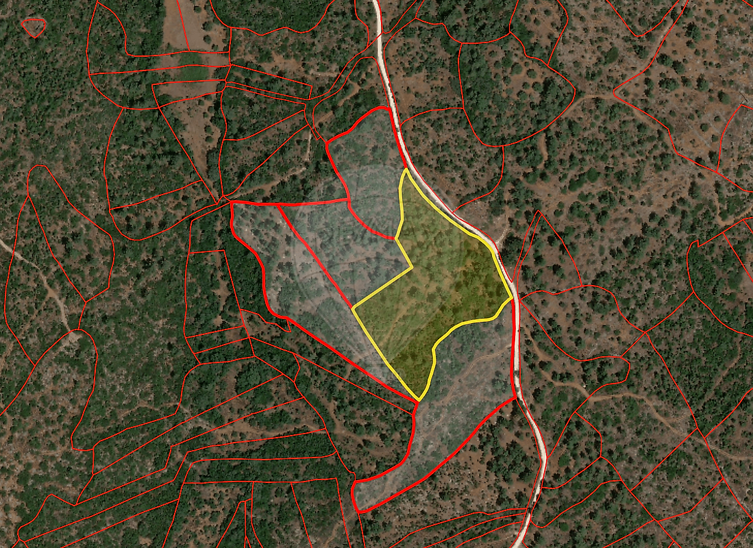 Terreno - Pedrógão, Torres Novas, Santarém