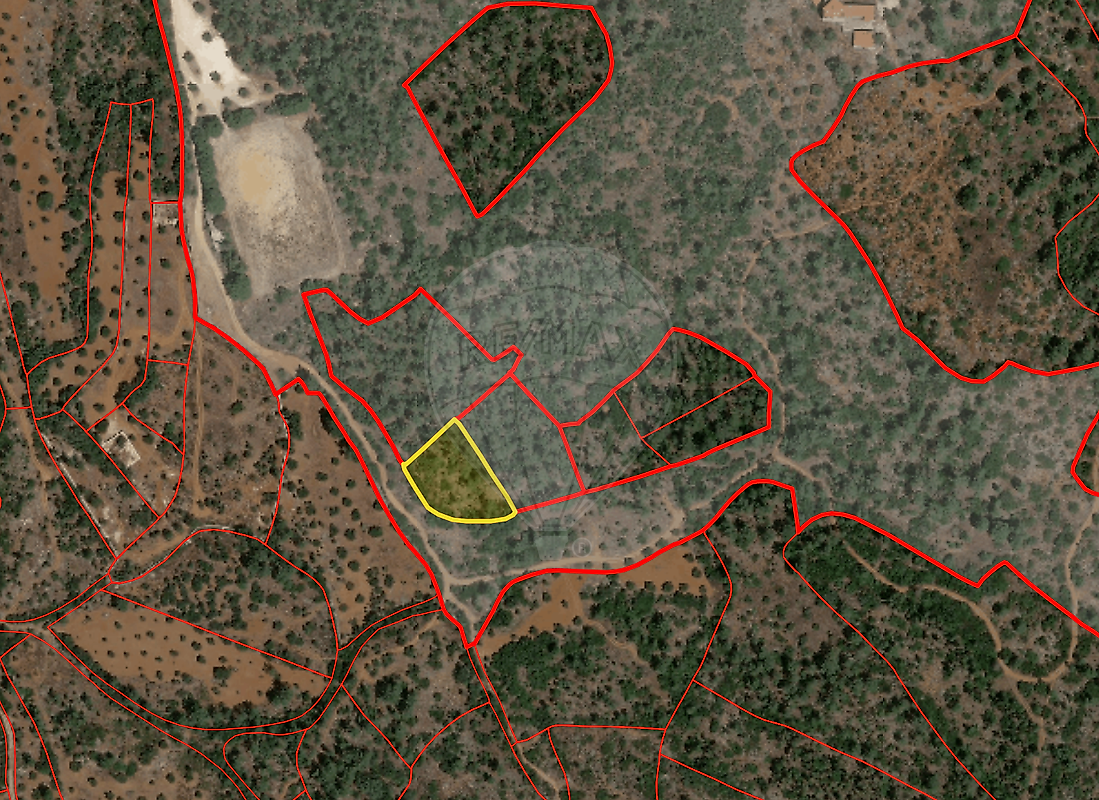 Terreno - Pedrógão, Torres Novas, Santarém