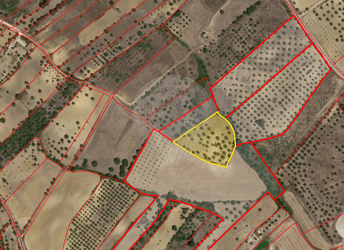 Terreno - Brogueira, Parceiros de Igreja e Alcorochel, Torres Novas, Santarém