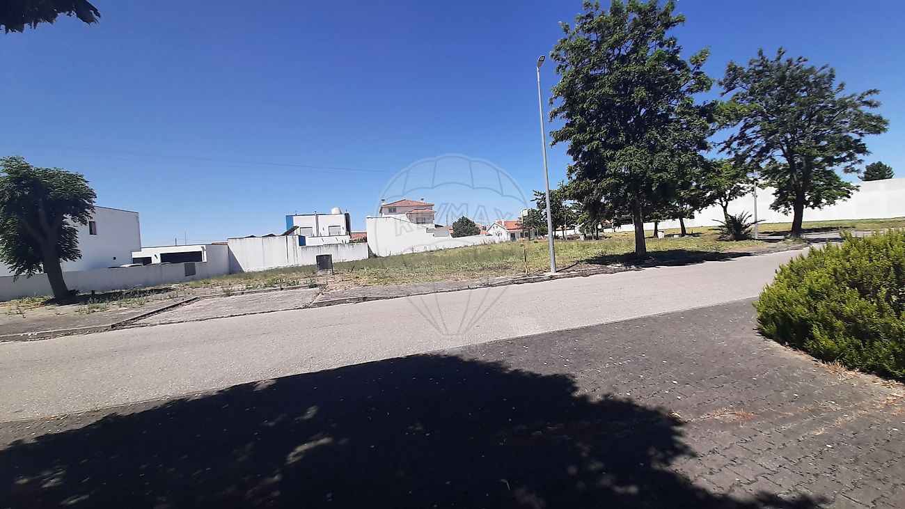 Terreno - Riachos, Torres Novas, Santarém