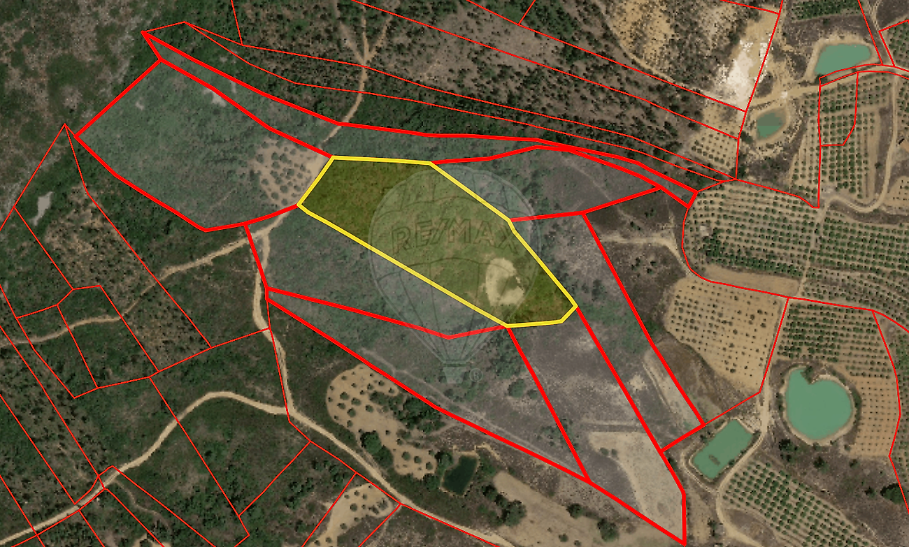Terreno - Torres Novas (São Pedro), Lapas e Ribeira Branca, Torres Novas, Santarém