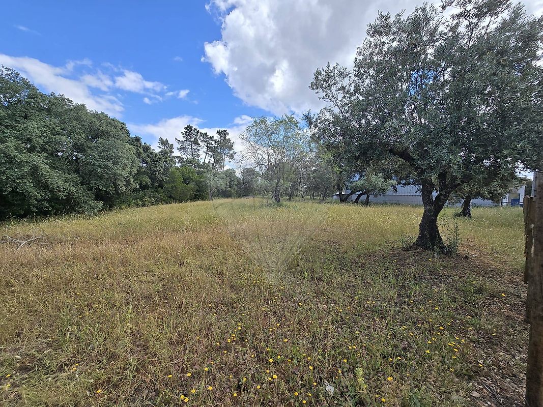 Terreno - Malhou, Louriceira e Espinheiro, Alcanena, Santarém