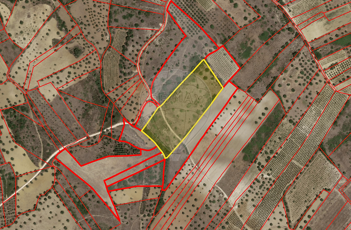 Terreno - Chancelaria, Torres Novas, Santarém