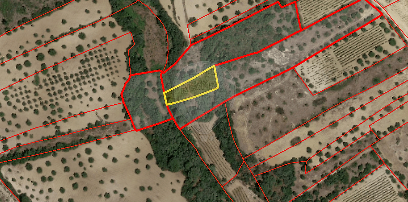 Terreno - Chancelaria, Torres Novas, Santarém