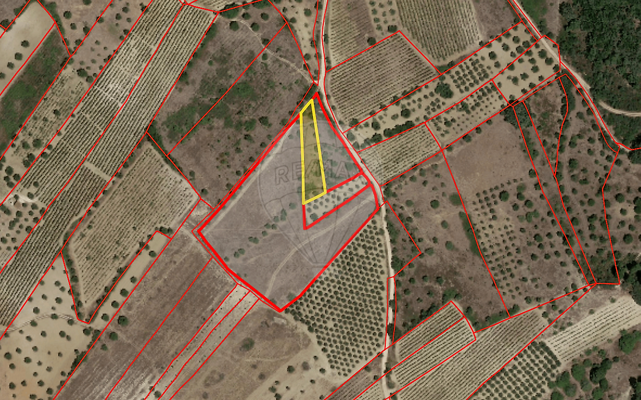 Terreno - Chancelaria, Torres Novas, Santarém