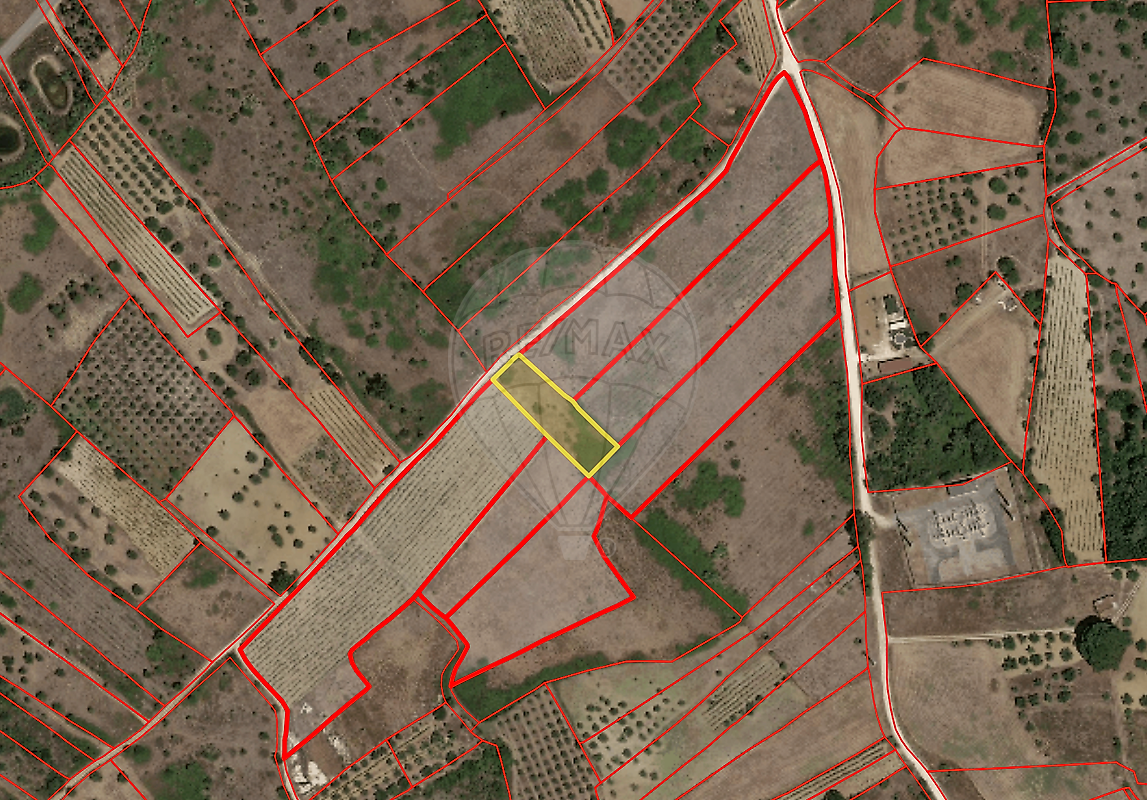 Terreno - Chancelaria, Torres Novas, Santarém