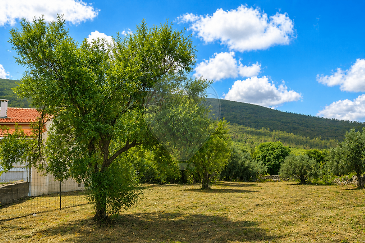 Terreno - Pedrógão, Torres Novas, Santarém