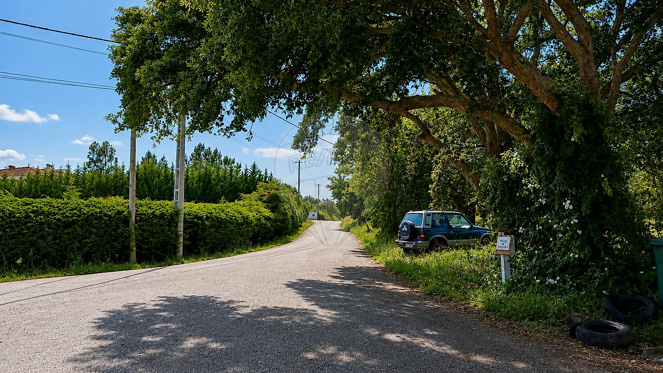 Terreno - Paialvo, Tomar, Santarém