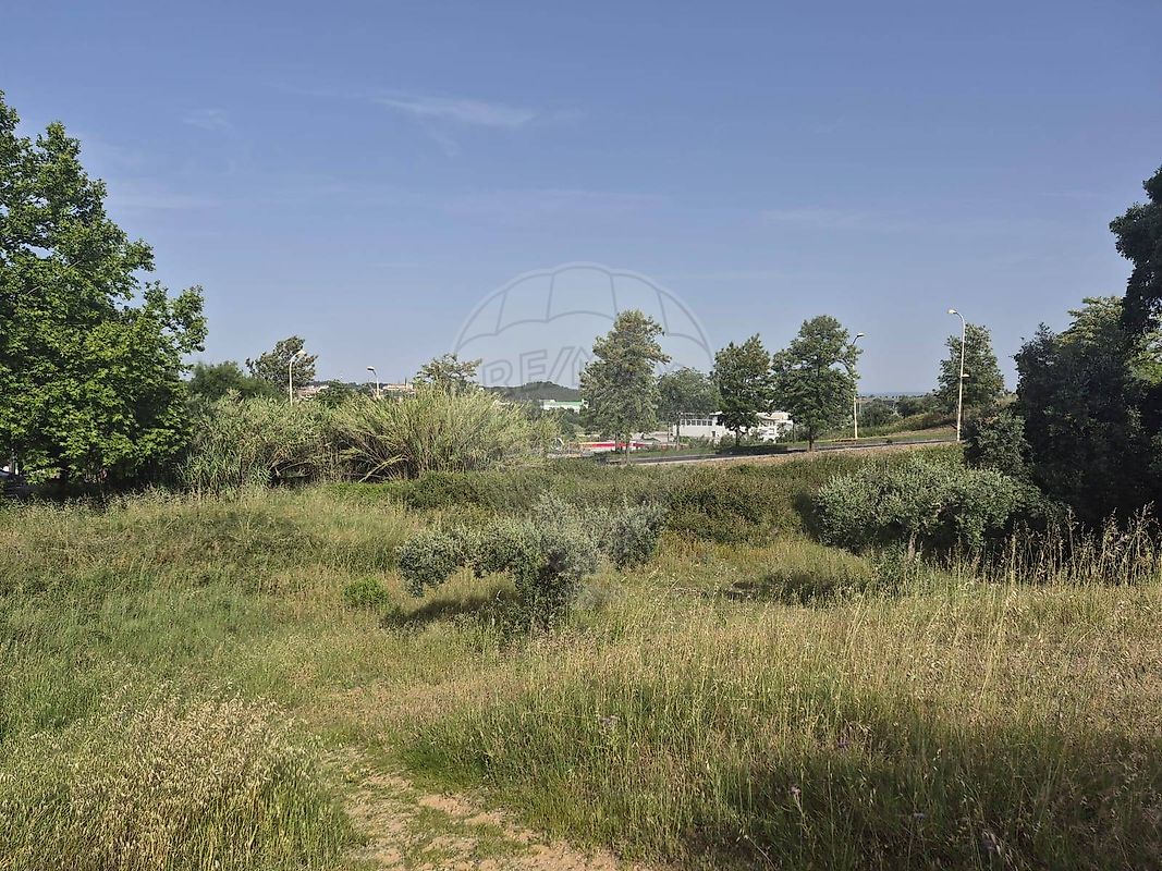 Terreno à venda em Torres Novas