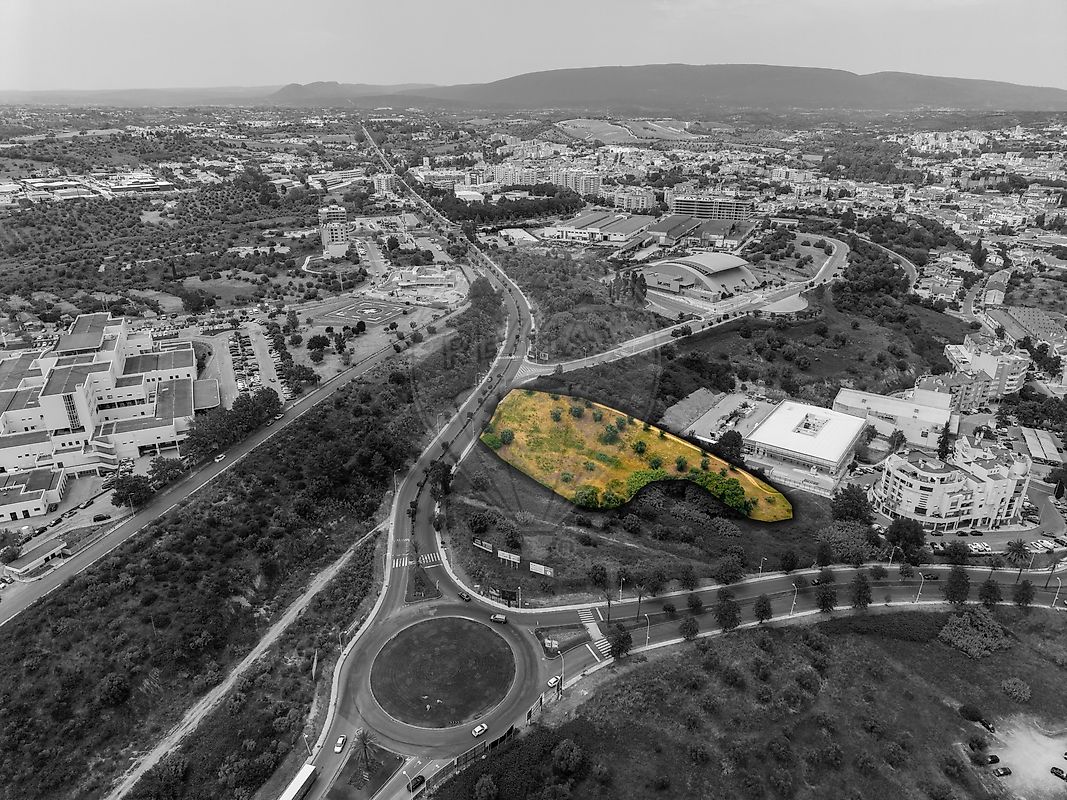 Terreno - Torres Novas (Santa Maria, Salvador e Santiago), Torres Novas, Santarém