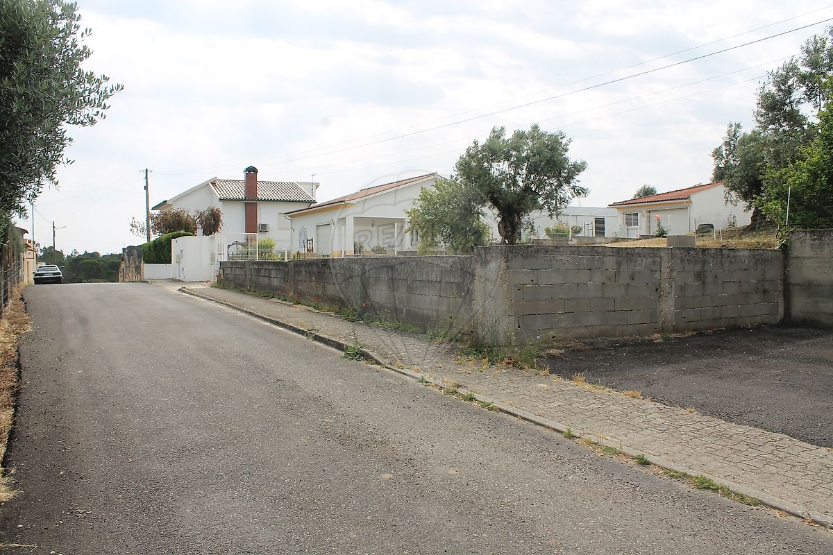Terreno - Olaia e Paço, Torres Novas, Santarém