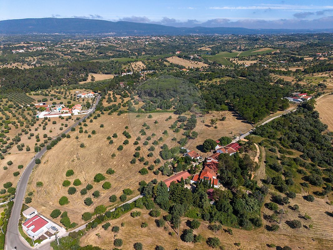 Terreno - Torres Novas (Santa Maria, Salvador e Santiago), Torres Novas, Santarém