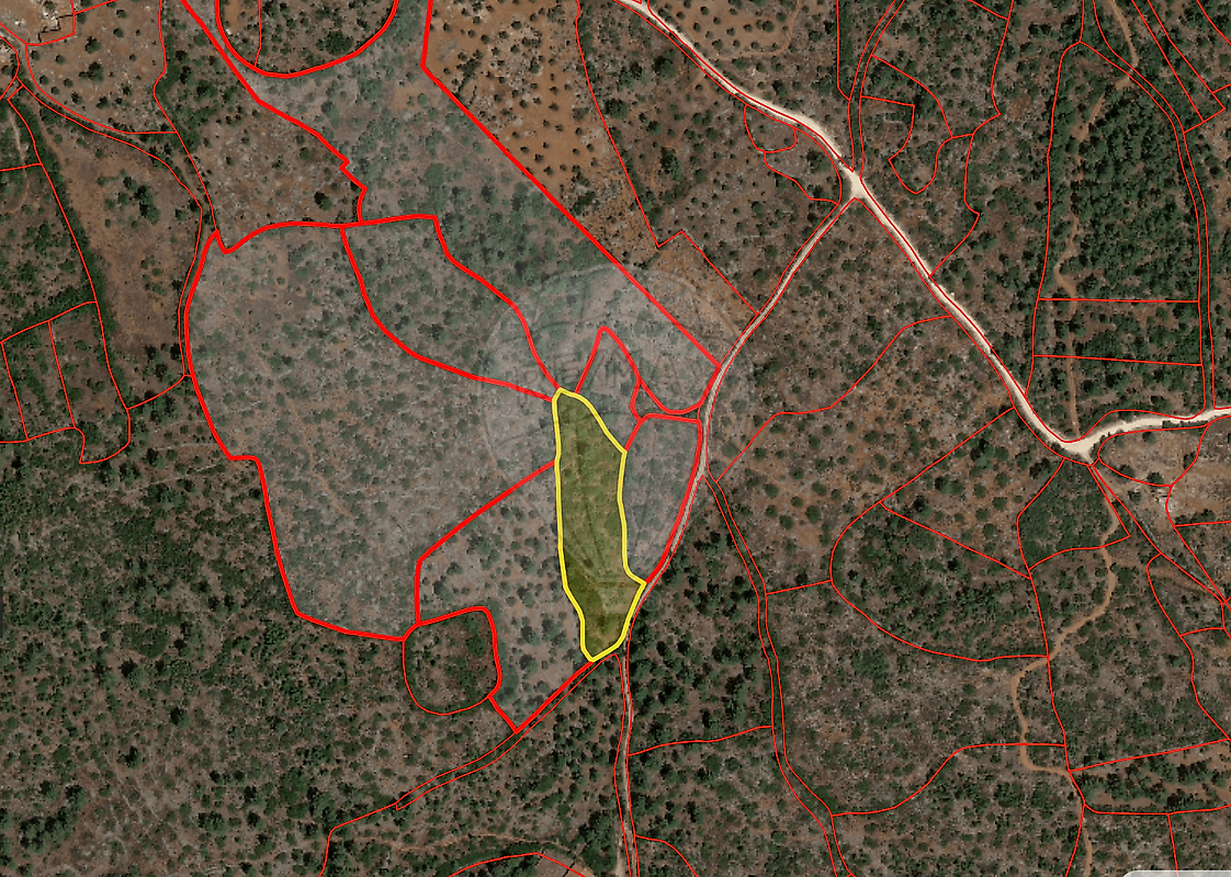 Terreno - Pedrógão, Torres Novas, Santarém
