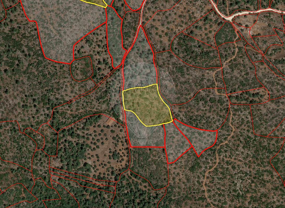 Terreno - Pedrógão, Torres Novas, Santarém