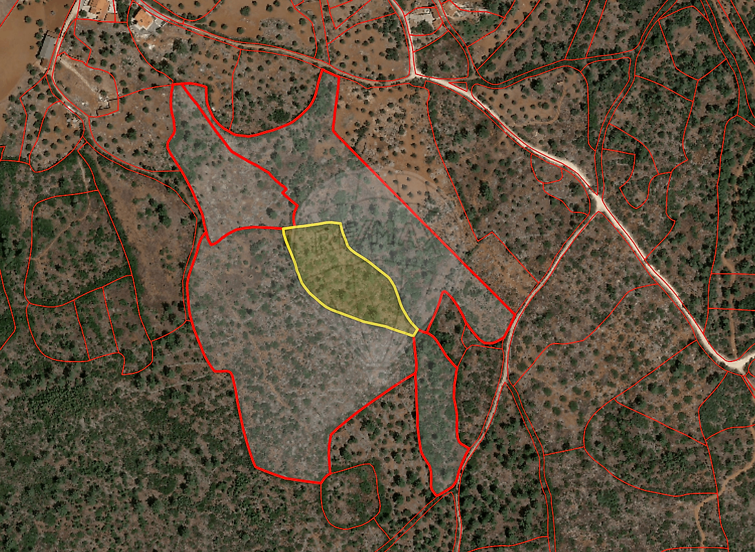 Terreno - Pedrógão, Torres Novas, Santarém