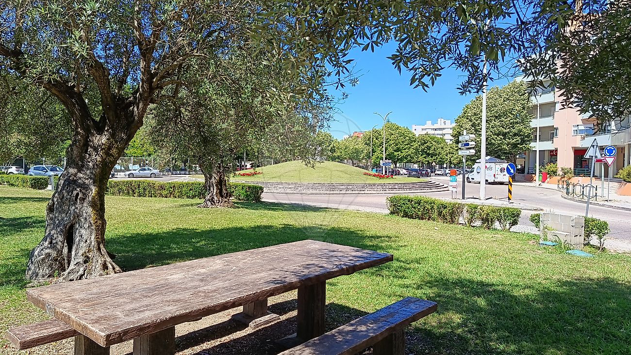 Moradia T4 à venda em Torres Novas (Santa Maria, Salvador e Santiago), Torres Novas — foto 10