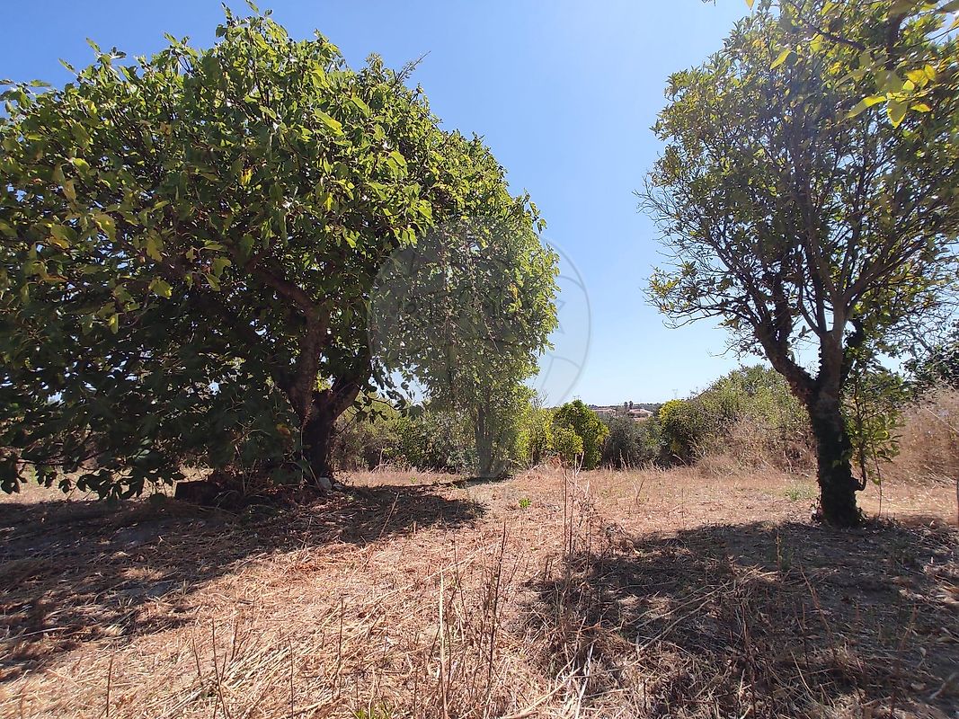 Moradia T3 à venda em Chancelaria, Torres Novas — foto 27