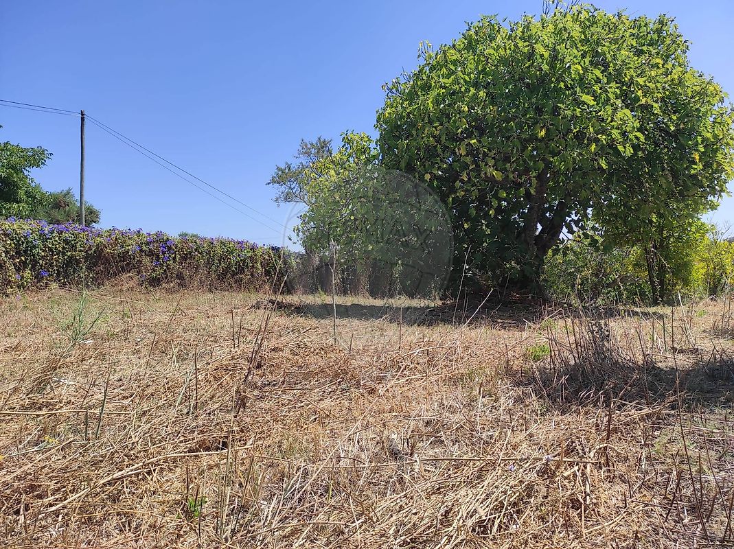 Moradia T3 à venda em Chancelaria, Torres Novas — foto 20