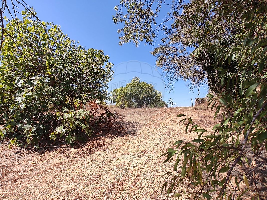 Moradia T3 à venda em Chancelaria, Torres Novas — foto 25
