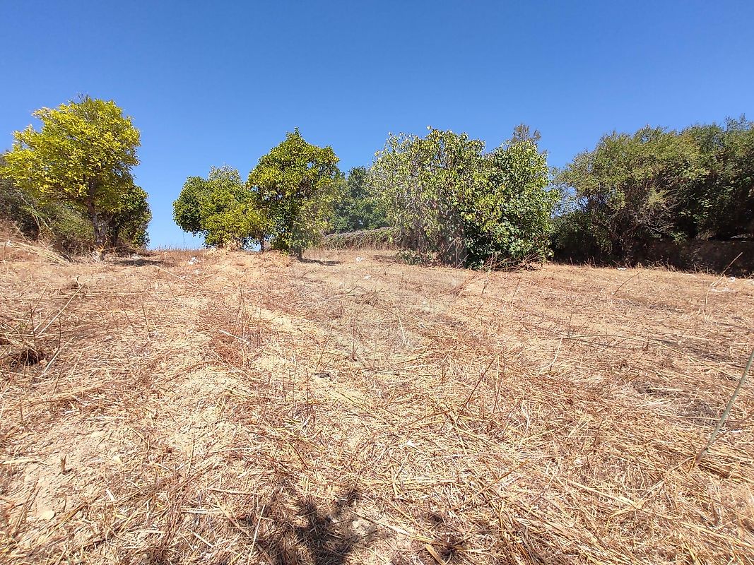 Moradia T3 à venda em Chancelaria, Torres Novas — foto 19