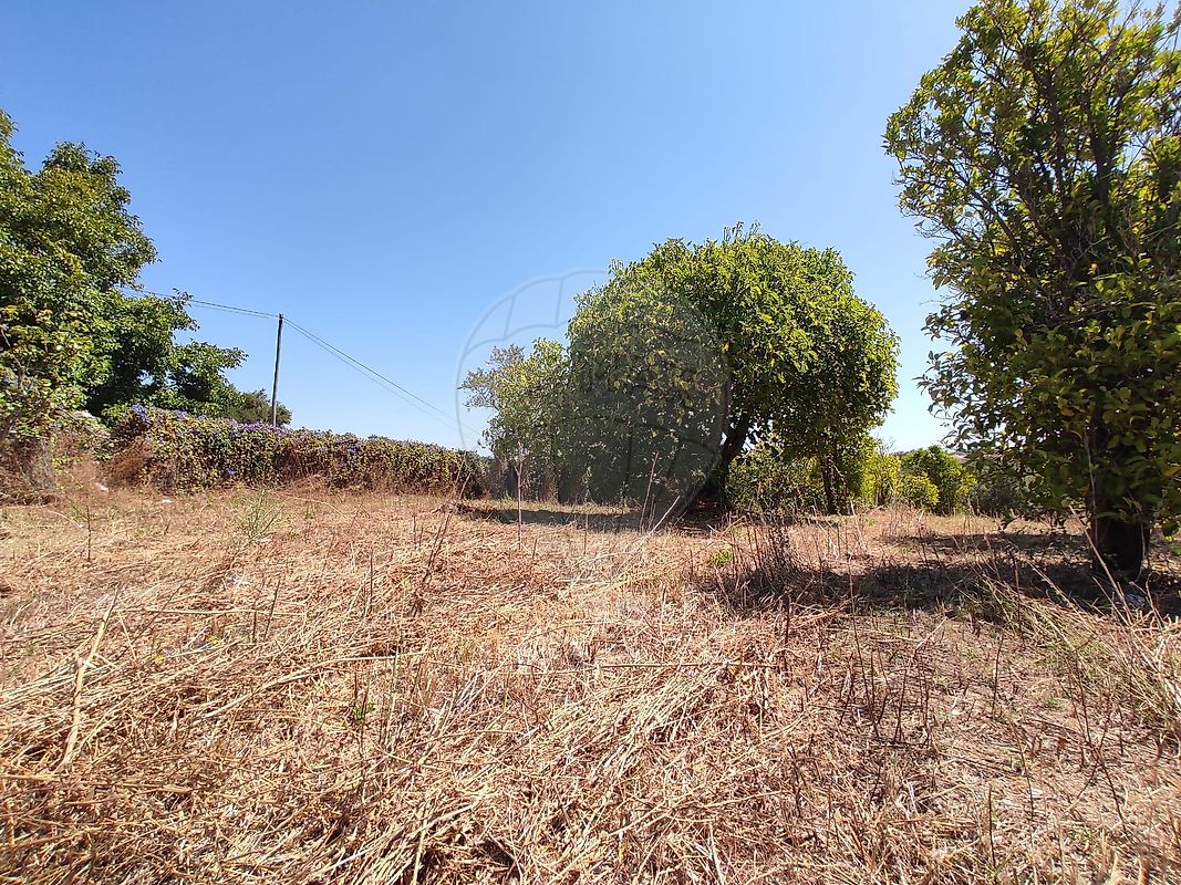 Moradia T3 à venda em Chancelaria, Torres Novas — foto 26