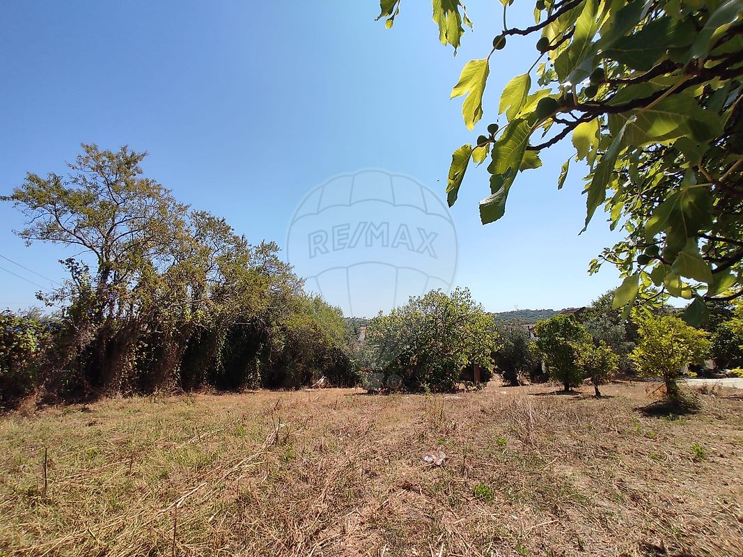 Moradia T3 à venda em Chancelaria, Torres Novas — foto 17