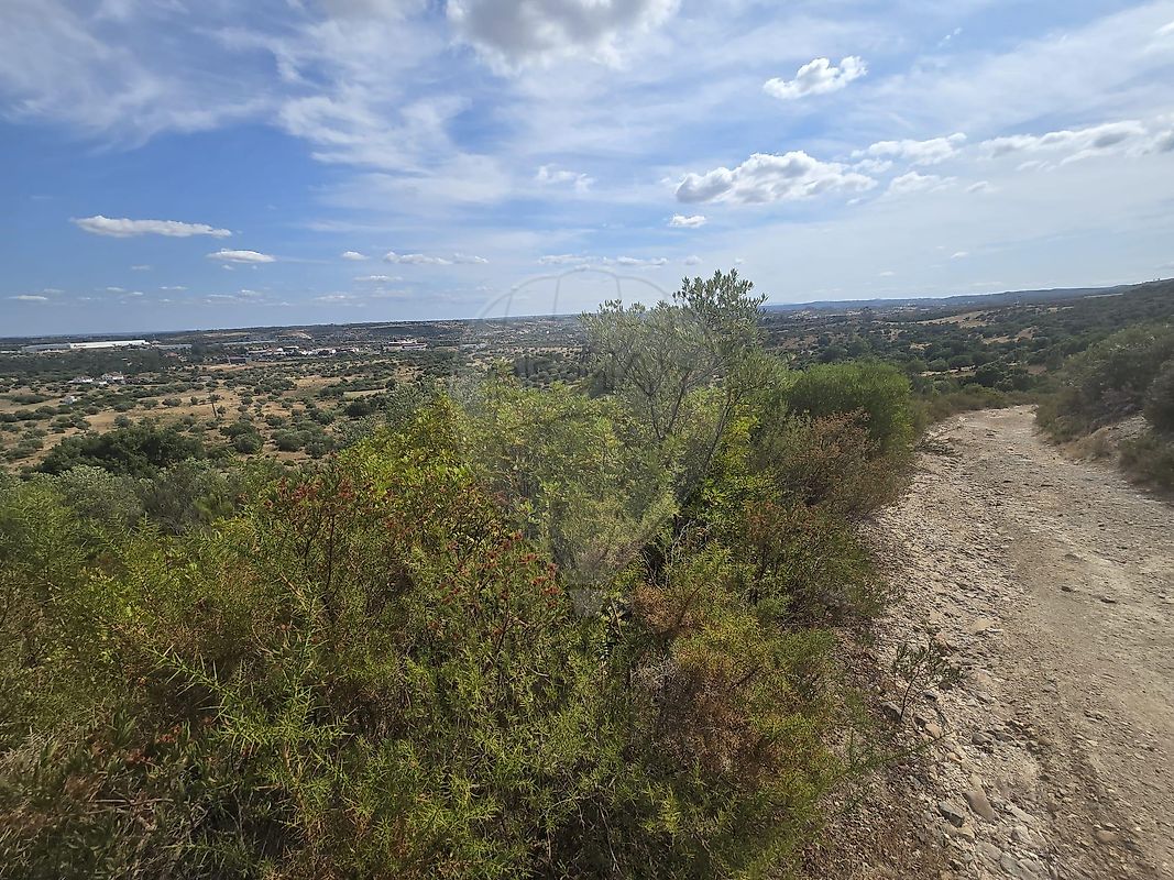 Terreno - Zibreira, Torres Novas, Santarém