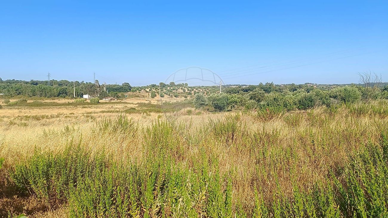 Apartamento à venda em Torres Novas