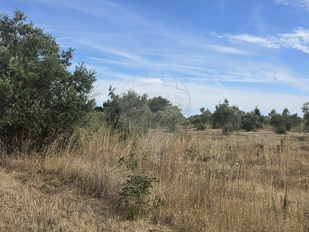 Apartamento à venda em Alcanena
