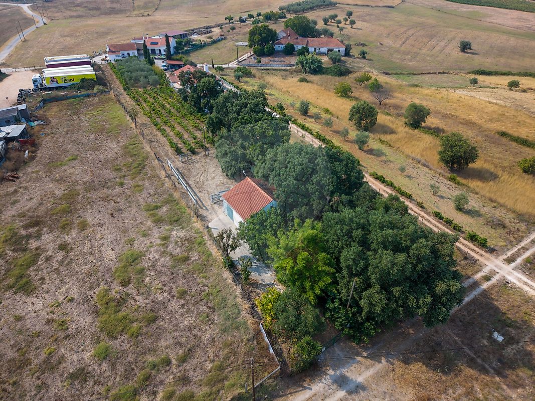 Moradia T2 à venda em São Vicente do Paul e Vale de Figueira, Santarém — foto 39