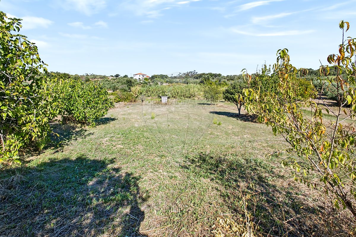 Moradia T4 à venda em Olaia e Paço, Torres Novas — foto 40