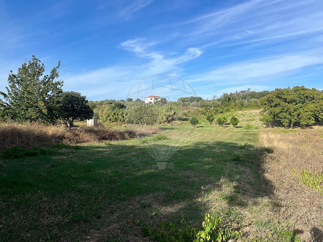 Terreno - Olaia e Paço, Torres Novas, Santarém