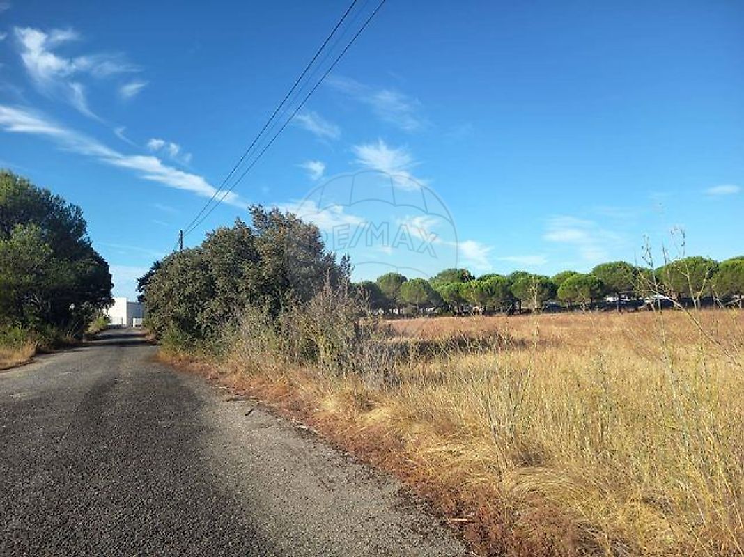 Terreno - Brogueira, Parceiros de Igreja e Alcorochel, Torres Novas, Santarém
