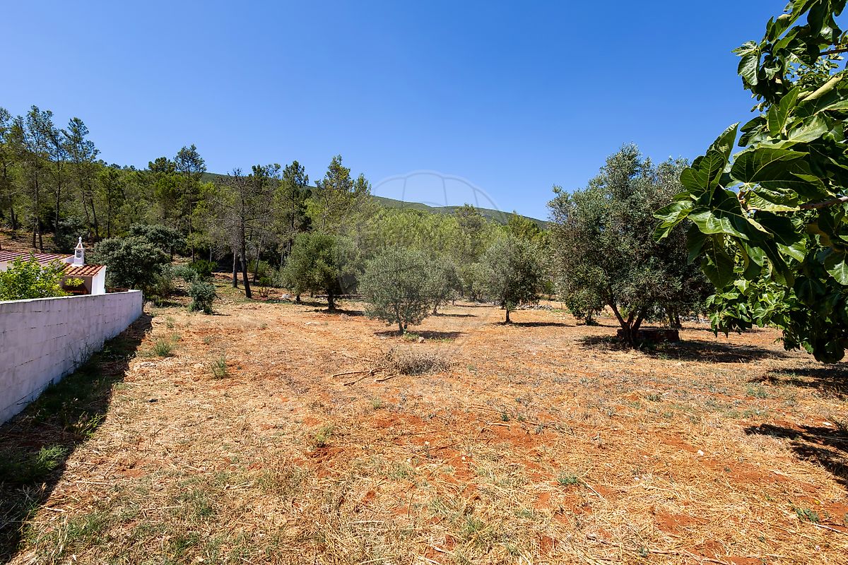 Moradia T3 à venda em Pedrógão, Torres Novas — foto 33